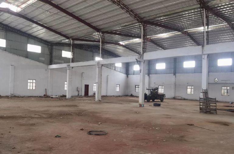 园洲镇厂房出租原房东滴水9米单一层厂房