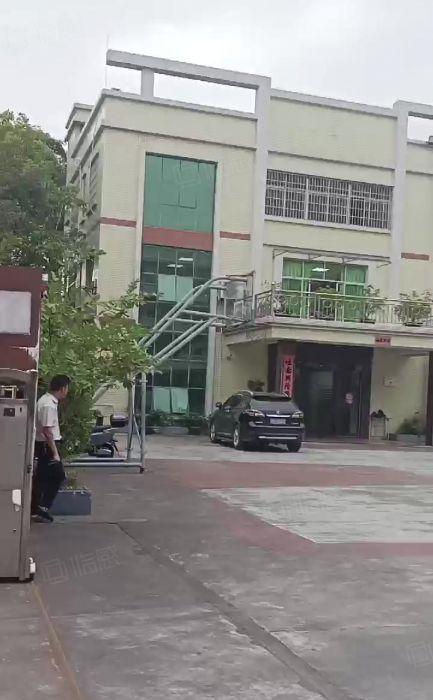 石湾镇标准厂房出租 独院现成办公楼现成地坪漆1000平方分租