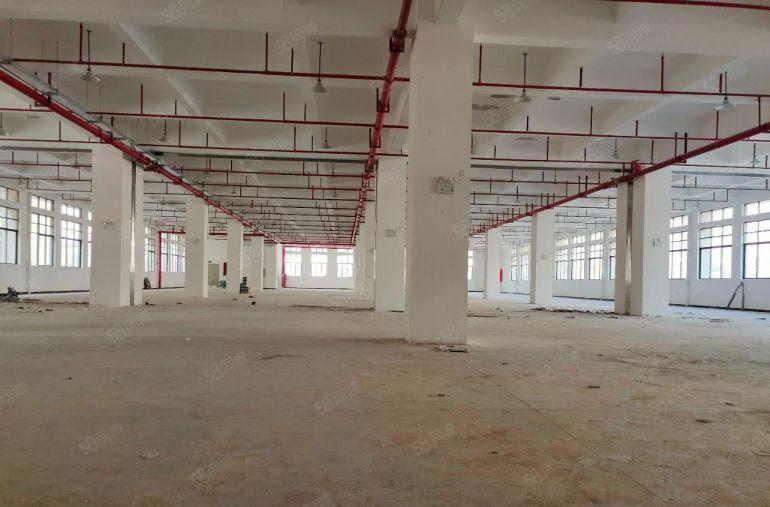 厂房出租仓库出租独门独院惠州市博罗罗阳镇原房东标准厂房可分租