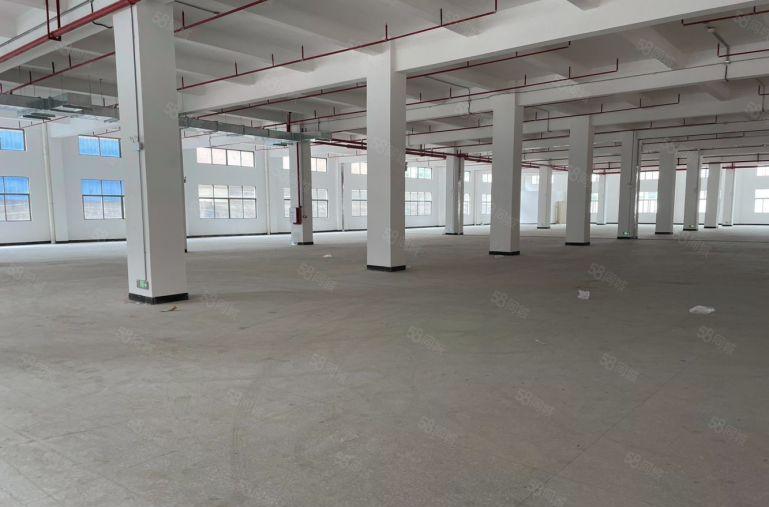 原房东标准厂房出租独门独院6000平方价格便宜地段好