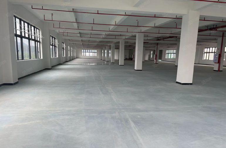 博罗县罗阳镇全新红本标准厂房出租