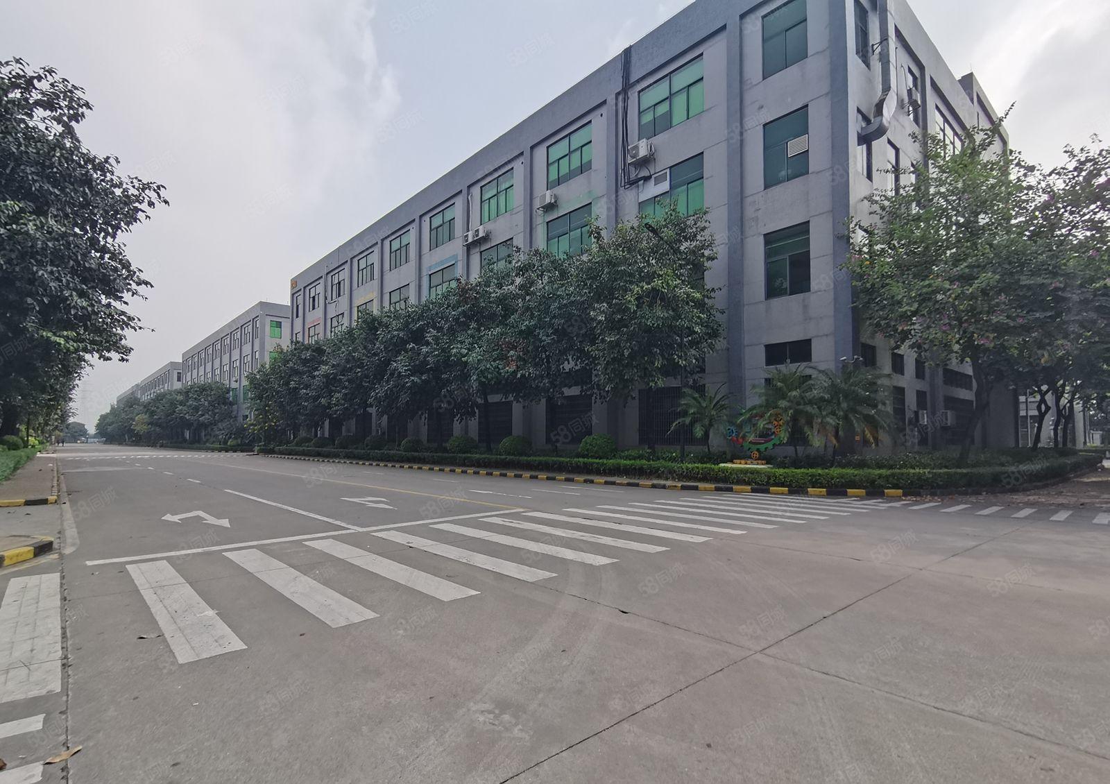 博罗龙溪厦寮工业园标准厂房出租1000平带装修