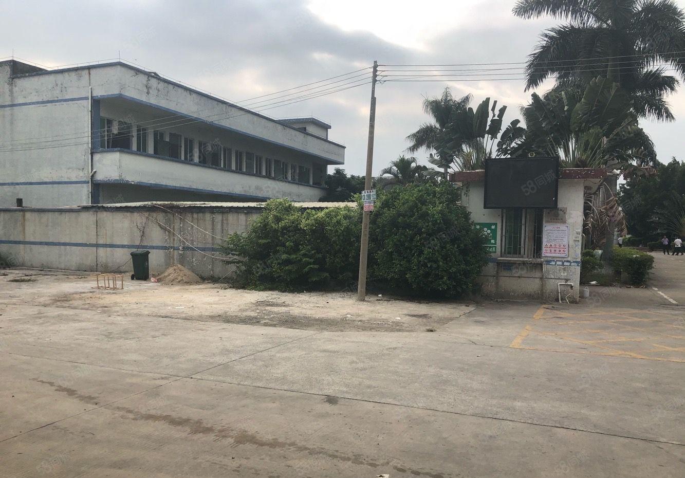 新出原房东独院砖墙带红本单一层4150平方带独立办公楼宿舍