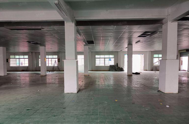 园洲镇标准楼房五百平至3000平低价厂房出租仓库出租