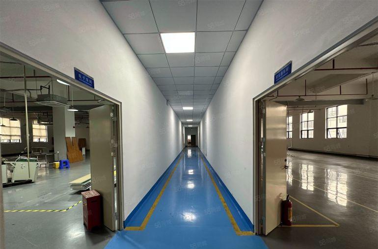 原房东园洲厂房2000平精装水电没拆除上南厂房低价出租分租