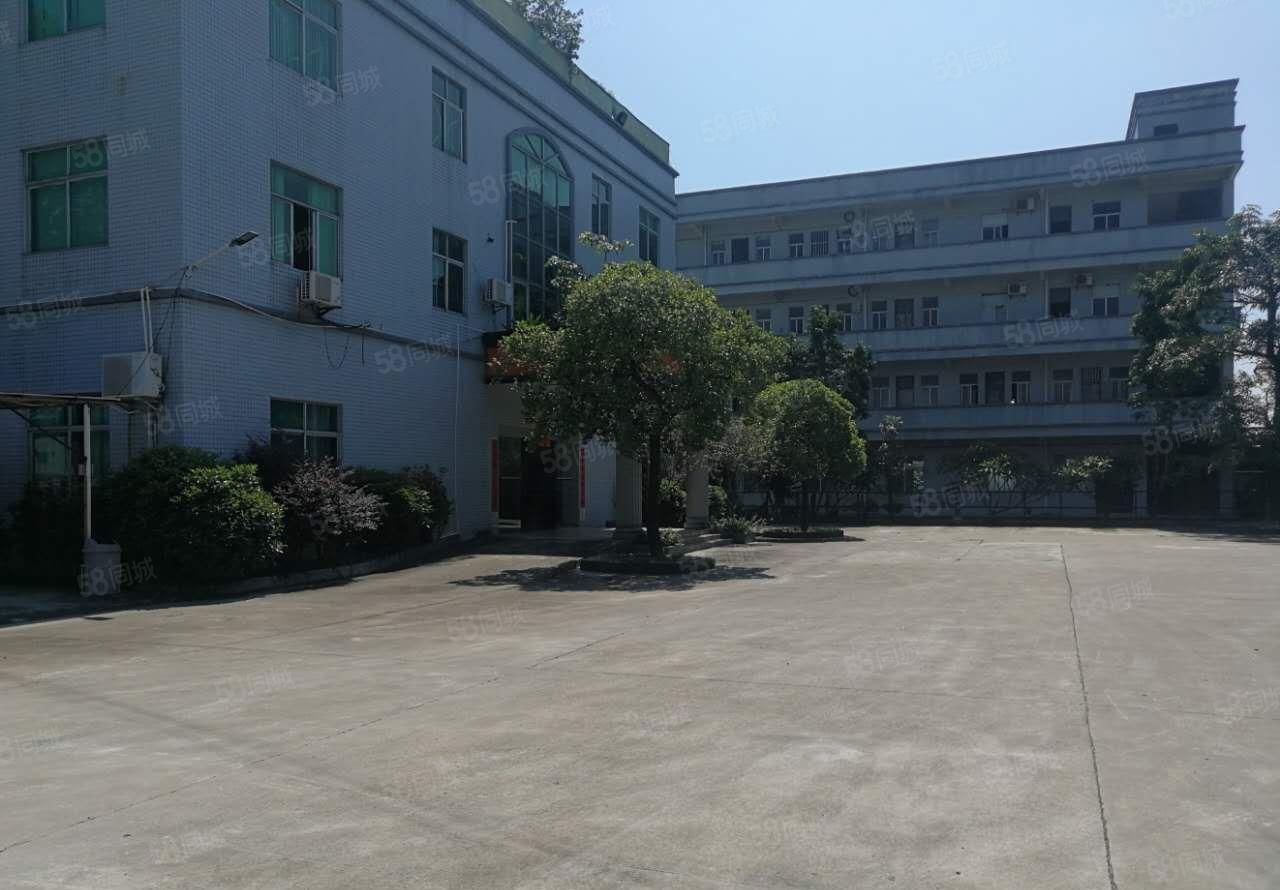 龙溪大道边厂房出租   超大空地   位置好