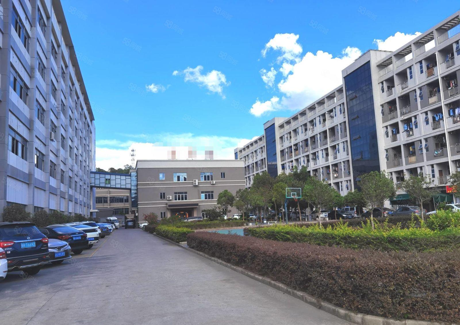 惠州龙溪原房东一楼2000平厂房适合注塑模具，合同8年