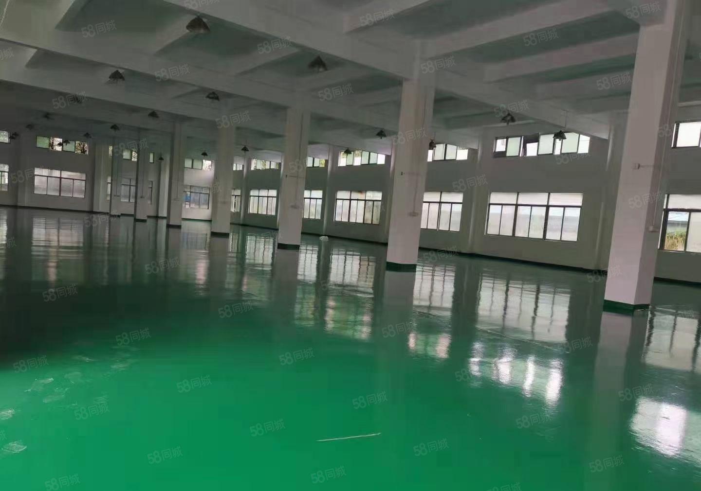 惠州市博罗县石湾镇科技园4800平方独户独门独院标准厂房出租