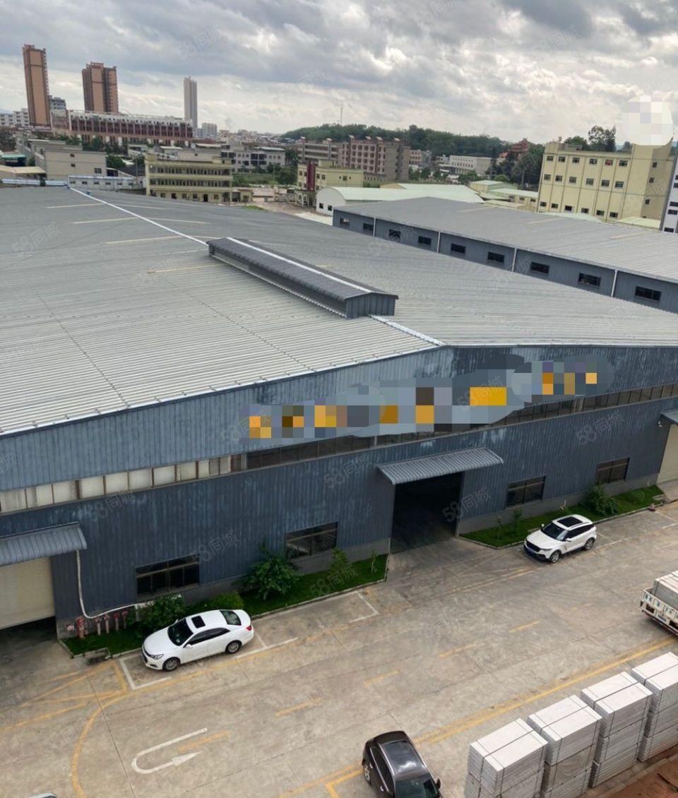 园洲钢结构单一层厂房出租厂房面积8500