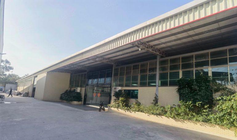 园洲镇6000平独门独院单一层3000平硬化空地