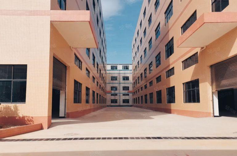 石湾镇原房东红本双证标准厂房36000平方，低价出租。