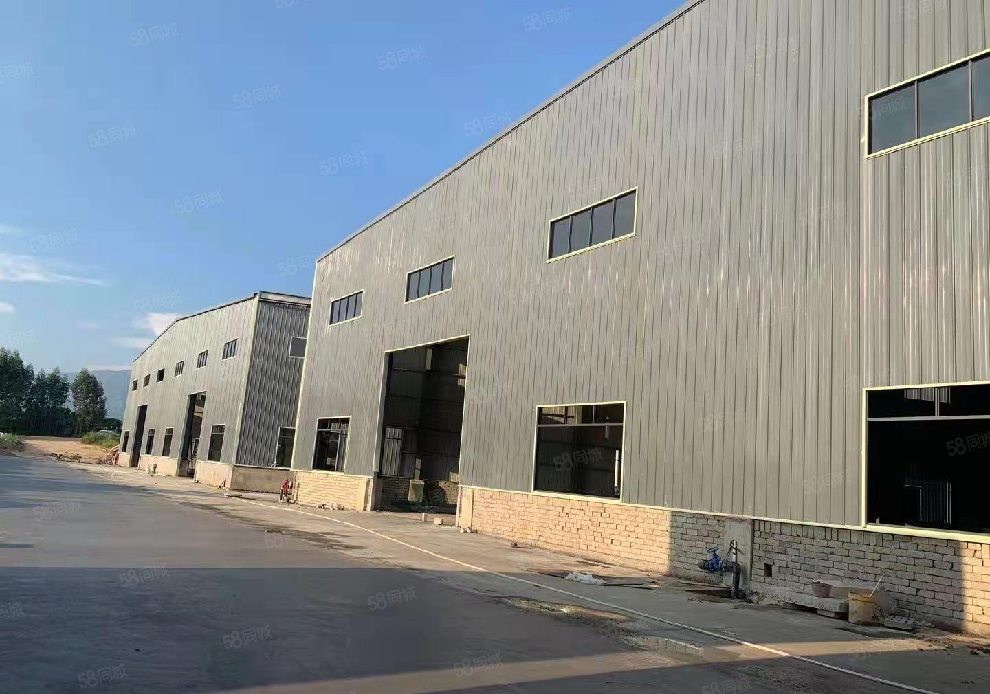 园洲全新滴水10米单一层厂房出租，共48600平方，证件齐全