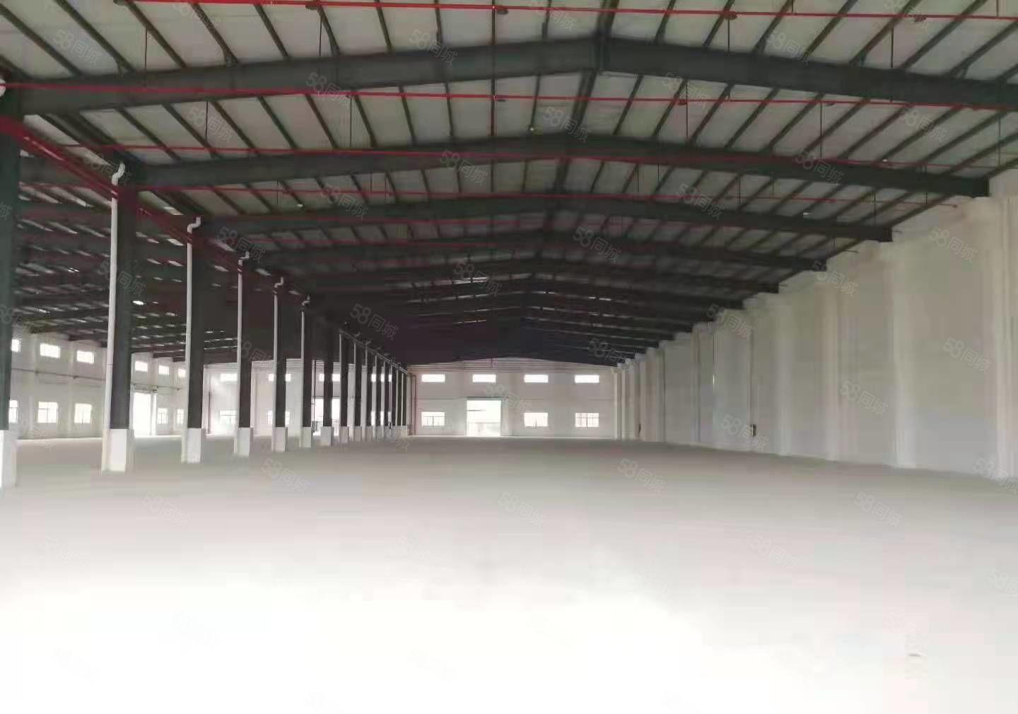 园洲新出原房东独门独院单一层厂房20000平方1000平方起