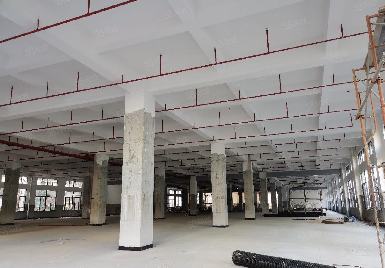 石湾大型成熟工业区1000方起租，红本独院天然气雨污分流厂房