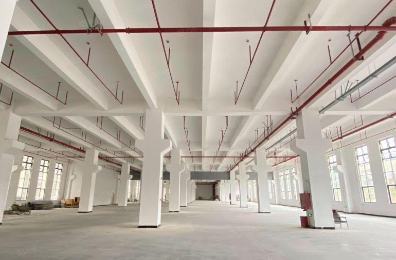 园洲镇原房东独院标准厂房61600平带现成蒸汽