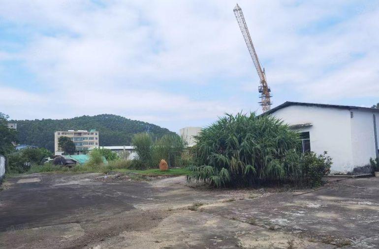 博罗原房东单一层独院厂房8000平方，空地1万平，配电充足