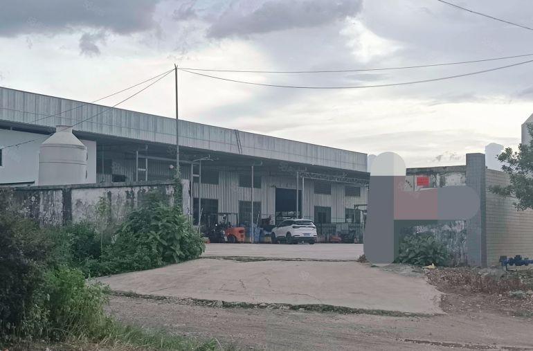 石湾镇原房东独院钢构厂房出租滴水9米独门独院 超大空地主道边