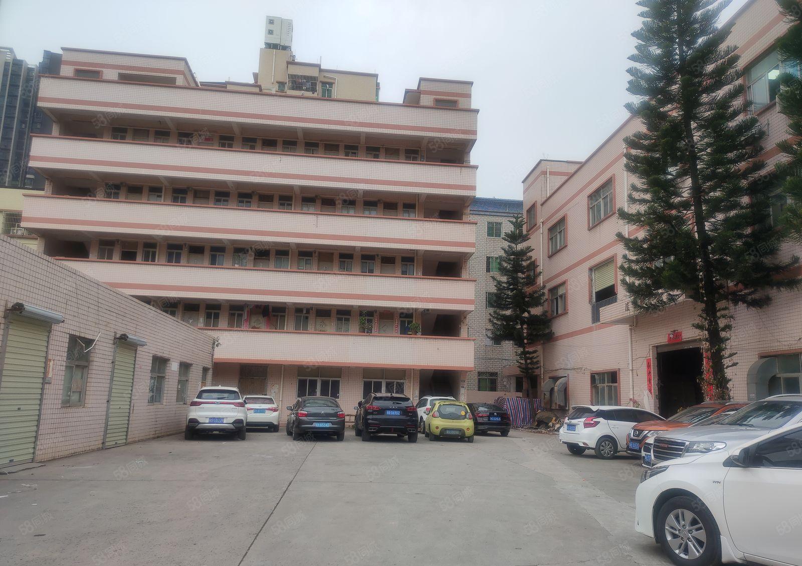 石湾科技3000平方精装修厂房出租500平方起分租可办环评。