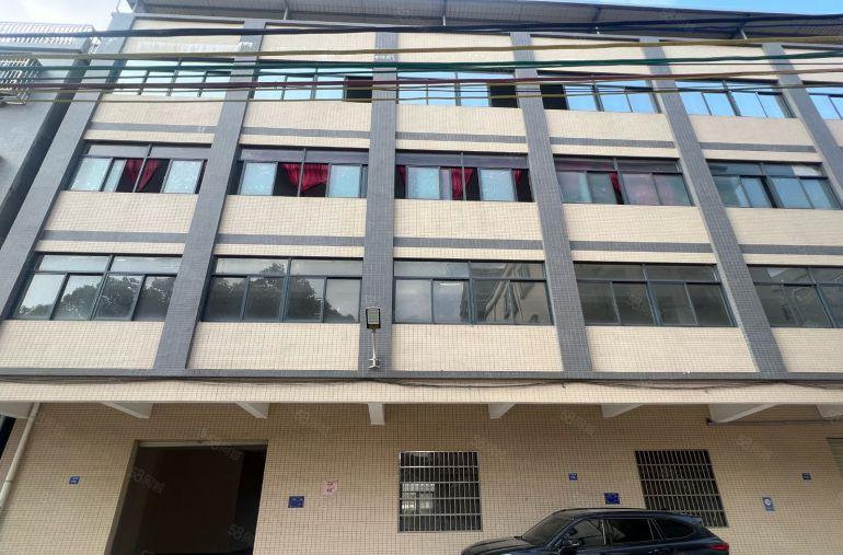 园洲！原房东！标准精装修一楼二楼！