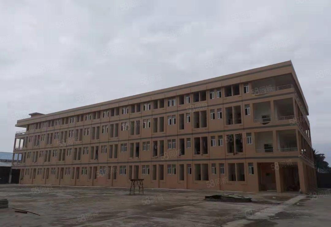 龙华全新厂房出租旁边无居民交通方便