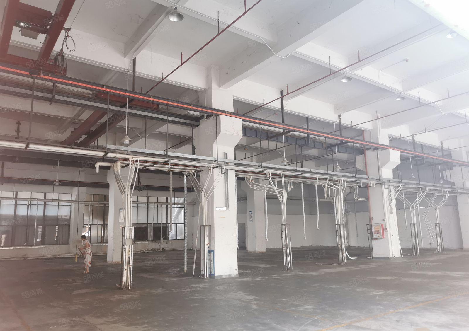 注塑客户带航车转租！现成环评设备，红本厂房！特价出租！