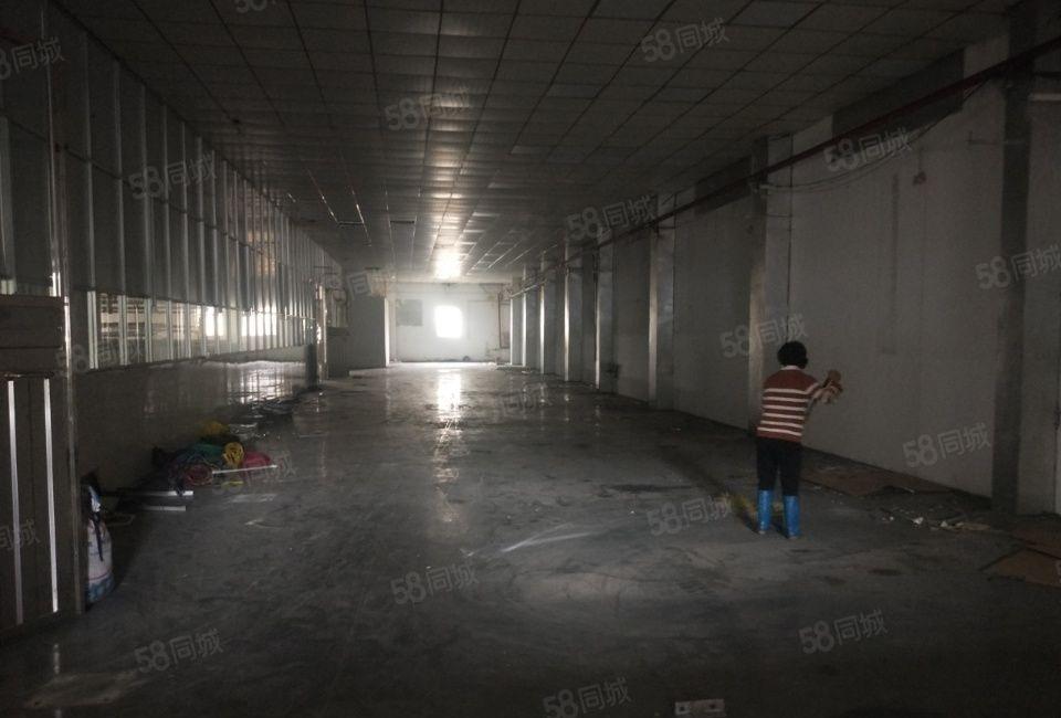 原房东，原房东，实际面积出租，形象非常漂亮！园洲新出独门独