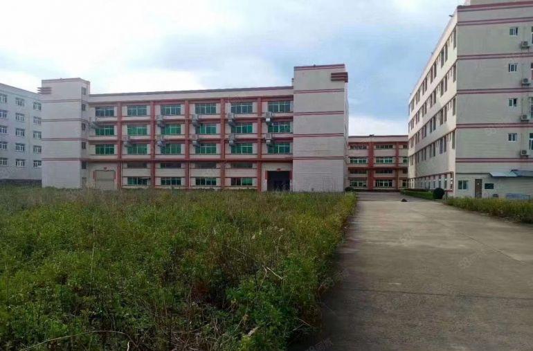 博罗园洲52000平方米标准厂房仅租9元每平方米