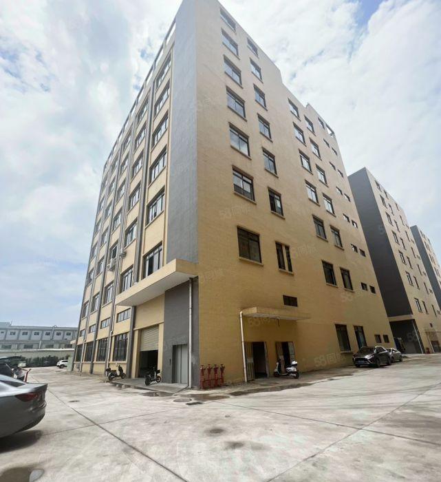 园洲实际面积8元全新原房东厂房招租好招工可分租