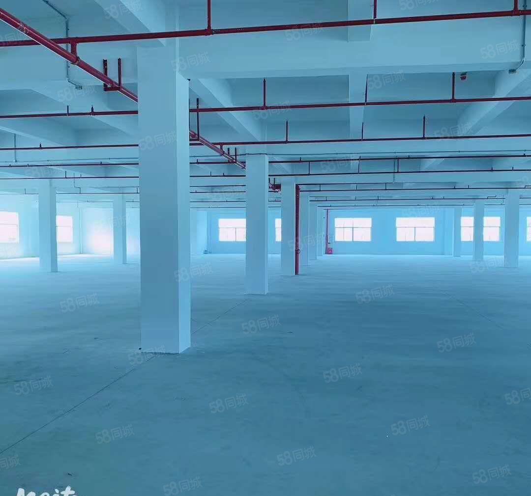 惠州市博罗县园洲镇，红本独门独院标准厂房出租，可办环评