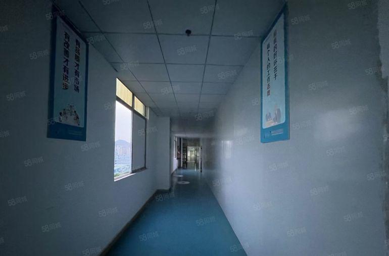 现场精装修无尘车间！罗阳镇原房东红本厂房园区2楼3200平