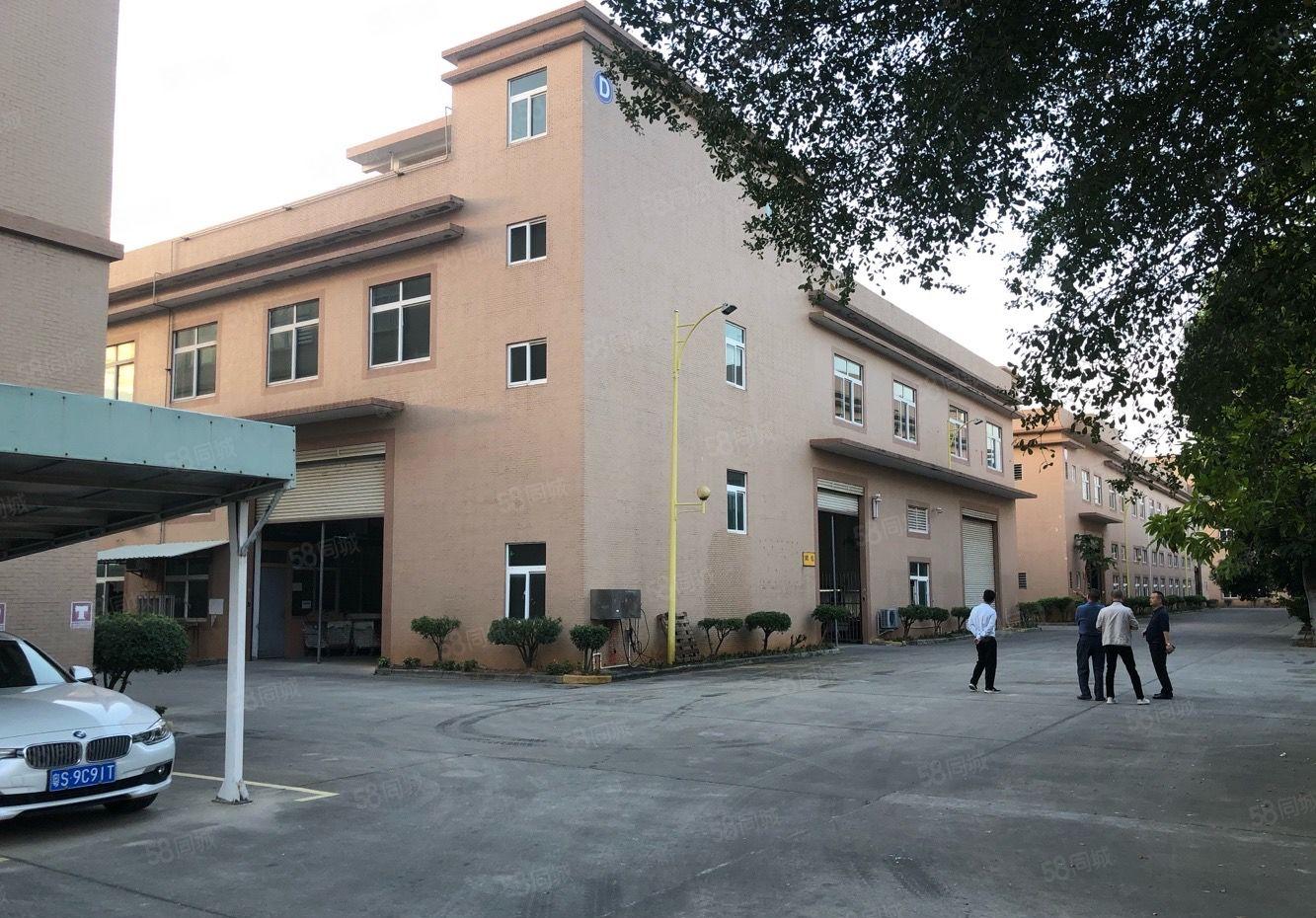 新出带红本大型工业标准厂房出租一楼六米高楼上5米周边配套齐全