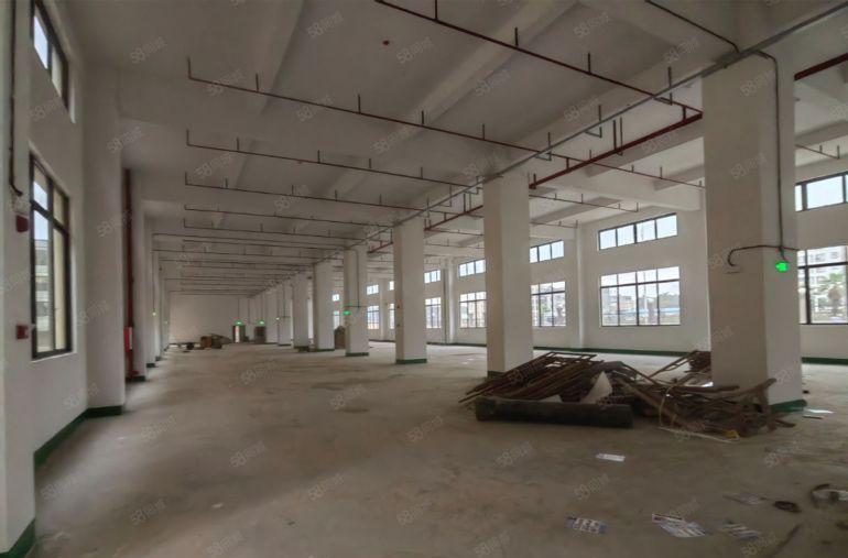 龙溪全新厂房出租 有空地独立厂房 随时入驻 一手房东价格可谈