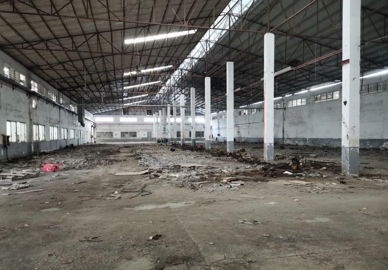 园洲原房东花园式红本钢构厂房40000