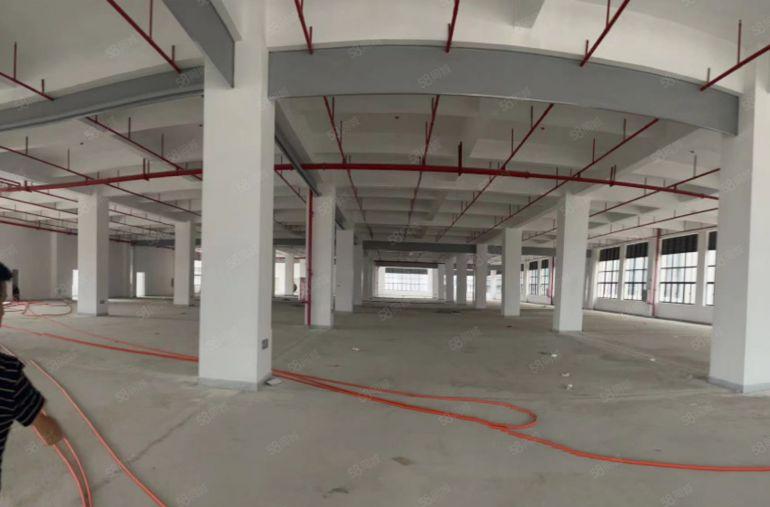 龙溪厂房出租 四面采光 原房东直租 国道附近 价格可谈