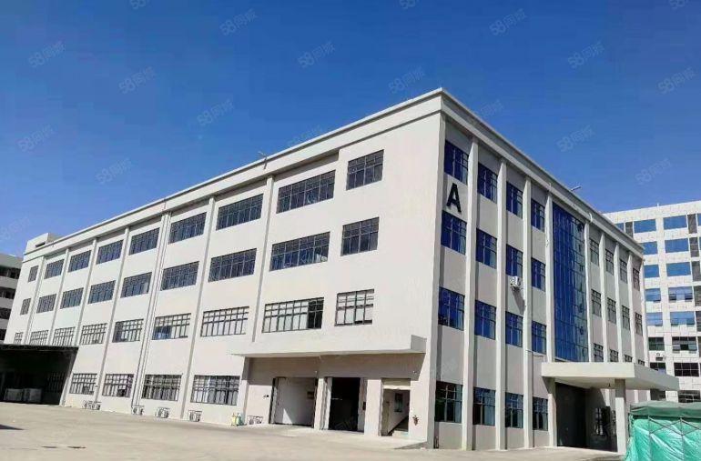 惠州市园洲镇原房东自建独门独院标准厂房出租，有红本