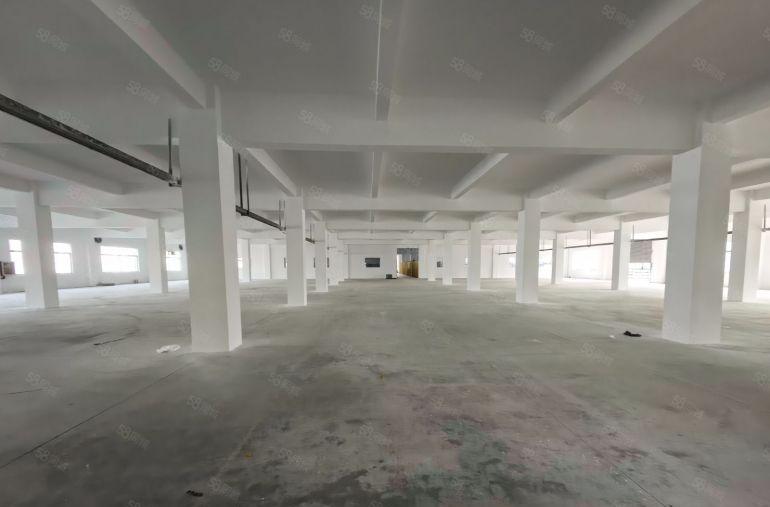 石湾2000平标准厂房出租超大空地原房东实际面积出租超大空地