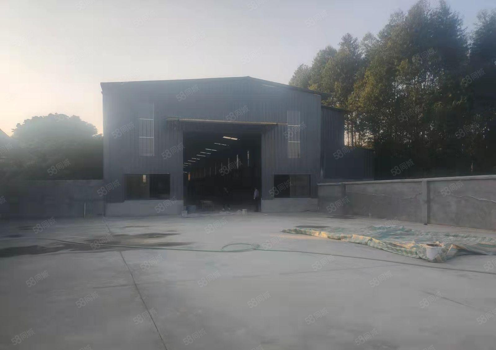 龙华镇原房东全新独门独院滴水8米单一层厂房招租