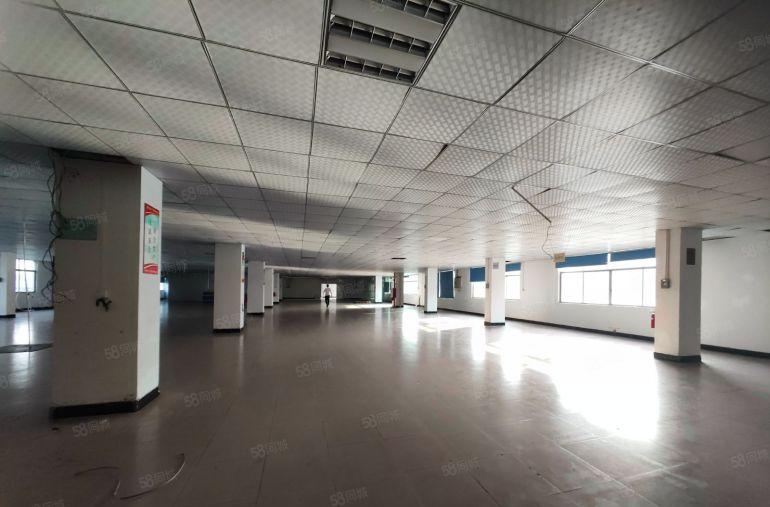 上南公园原房东厂房3楼1400平，现成办公室装修，2吨货梯