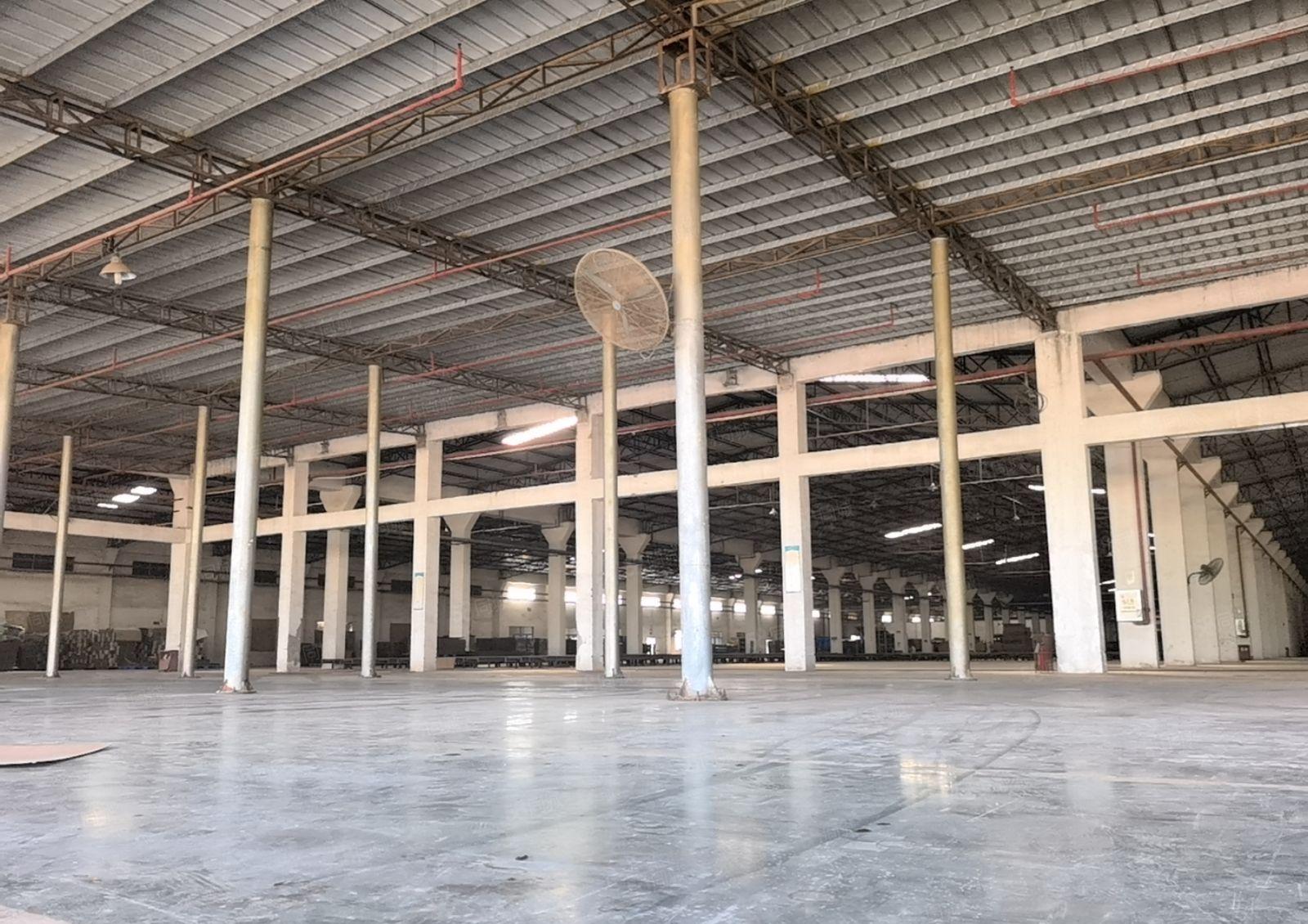 博罗杨村国道旁15000平方独院钢构厂房仓库出租 可分租