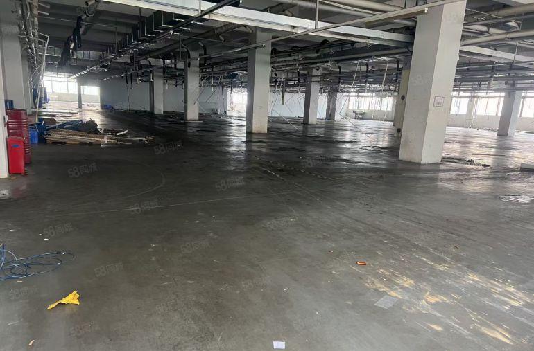 靓四角楼标准厂房16000平米招租