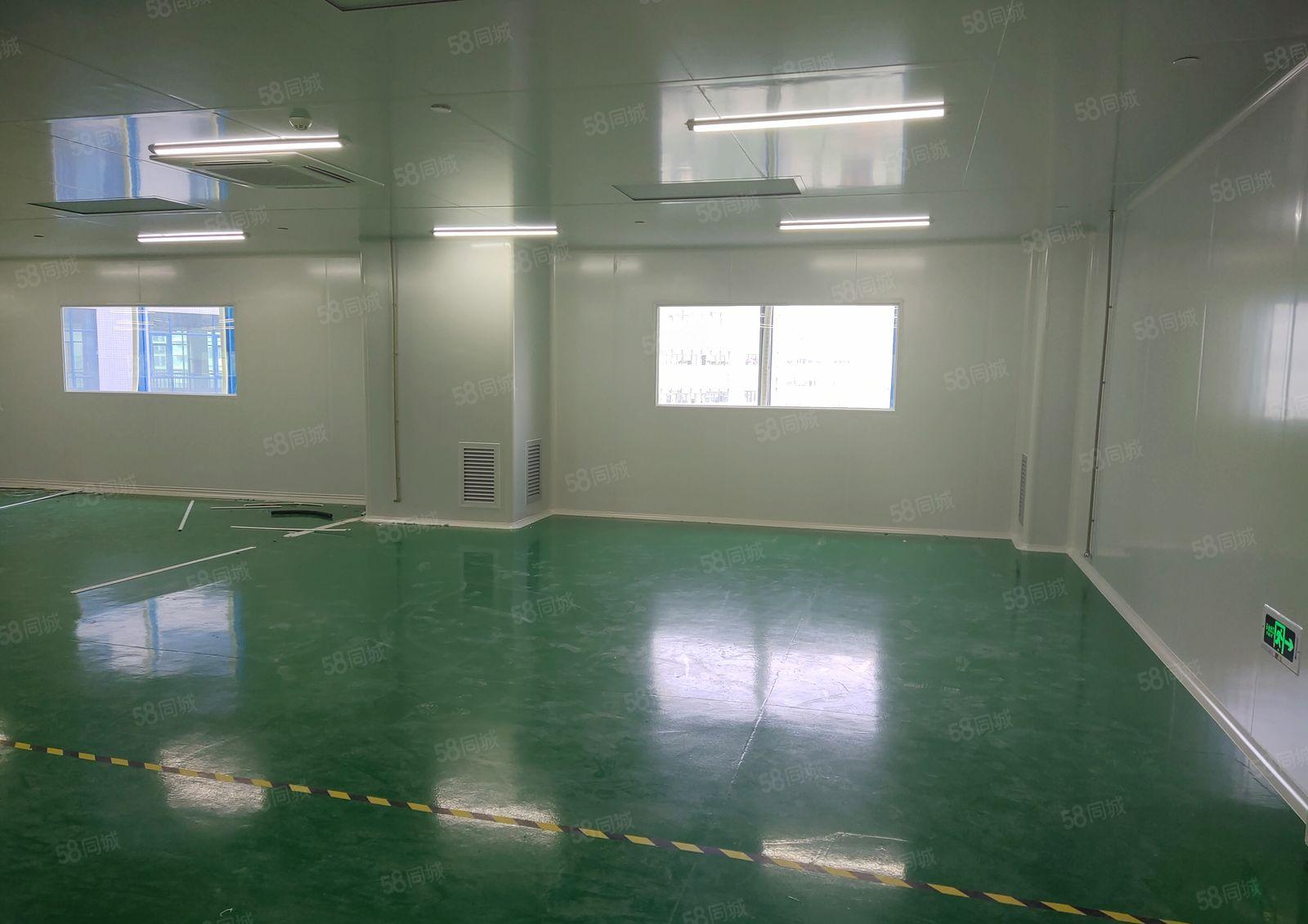 博罗东升工业区原房东独栋1900平无尘车间仓库厂房出租可分租