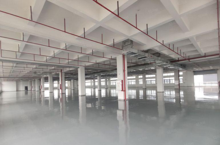 石湾全新工业园新出二楼单层面积4300平方，全新地坪漆出租。