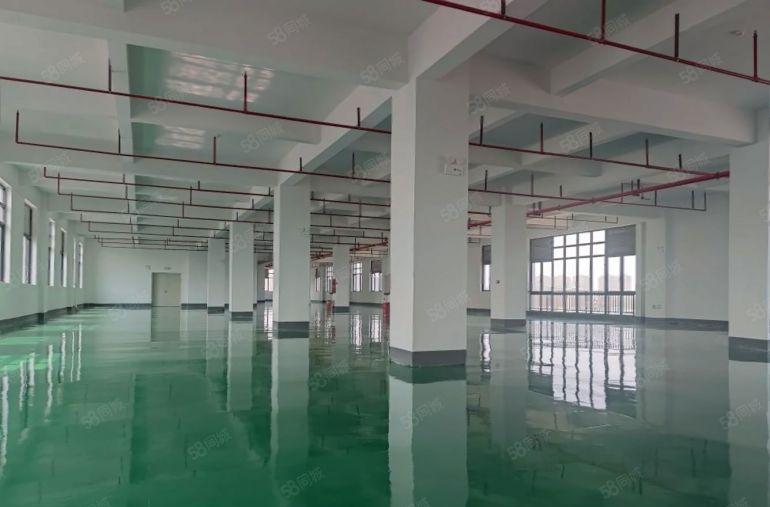 惠城区！原房东单价10元有红本~500平起可分组随时可看