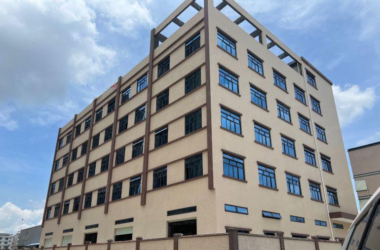 园洲全新标准独院！可做仓库！可分租！