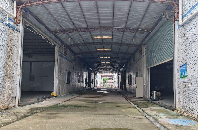 博罗龙溪工业园8000平独门独院单一层钢构厂房低价出租可分租