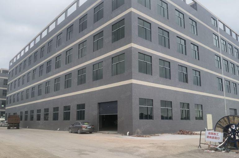 园洲镇原房东全新独栋标准厂房