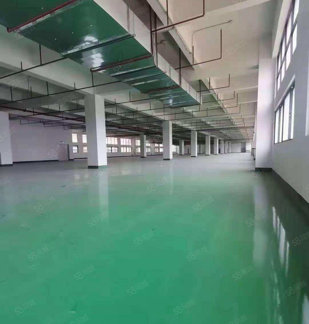 原房东标准独院特价租！非中介！