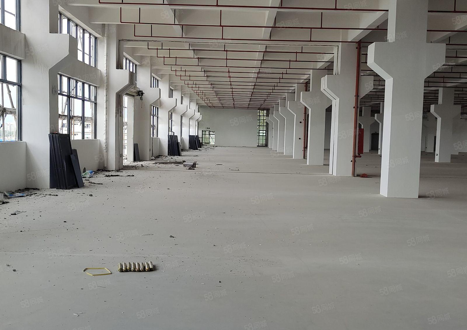 石湾镇60000万平方厂房出租500平方起分租