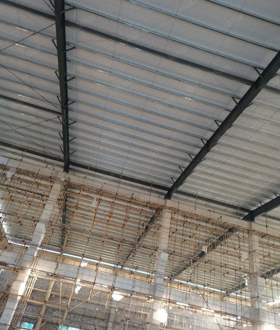 惠州博罗泰美镇全新15米高砖墙到顶单一层红本厂房隆重招商