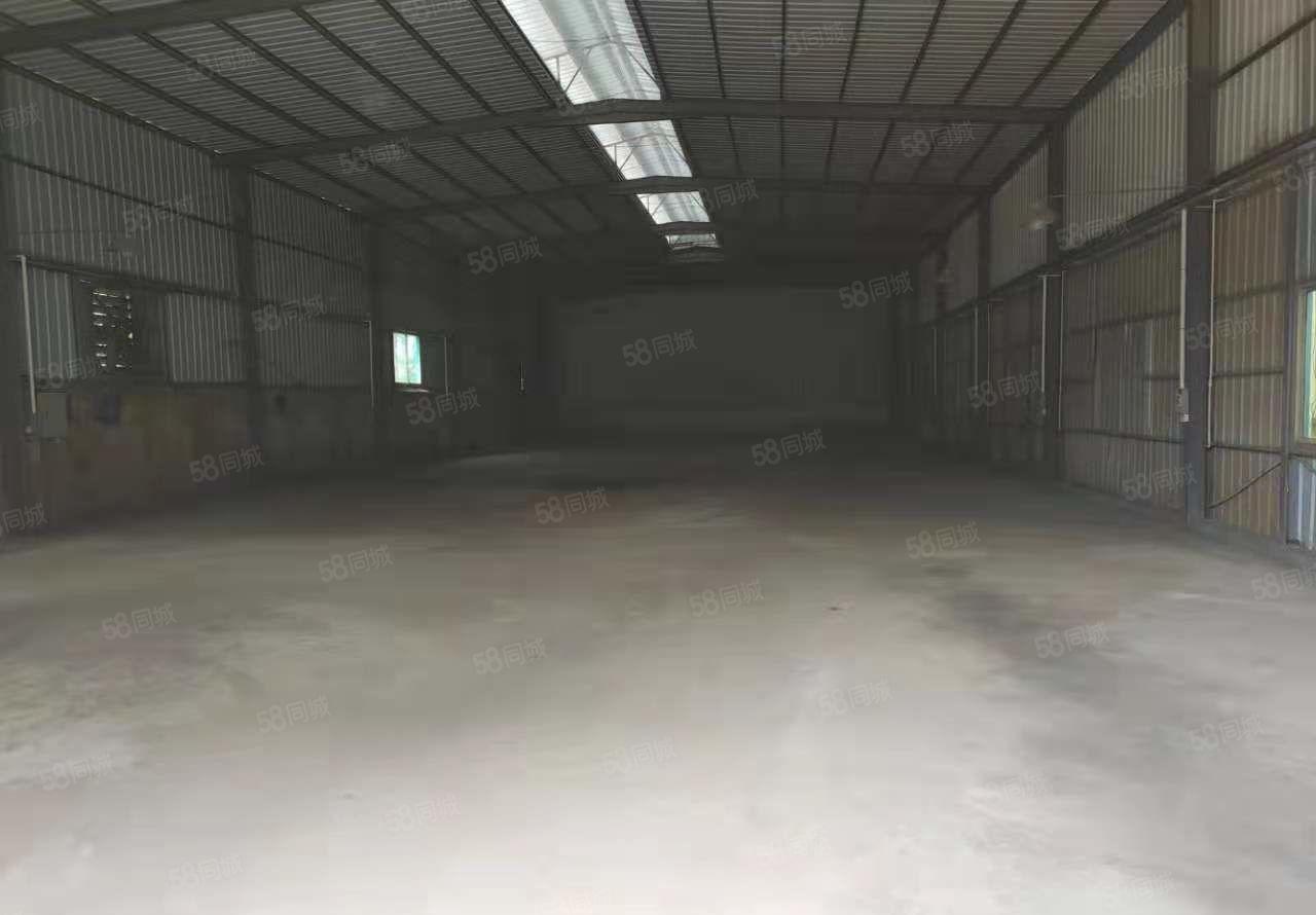 龙溪镇偏僻位置厂房出租单一层厂房出租可做污染厂房空地超大